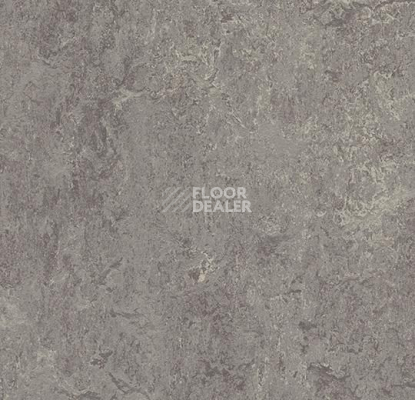 Линолеум Forbo Marmoleum Marbled Real 2629 Eiger фото 1 | FLOORDEALER